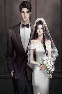 Anh Tần, Chỉ Là Kết Hôn Chớp Nhoáng Thôi