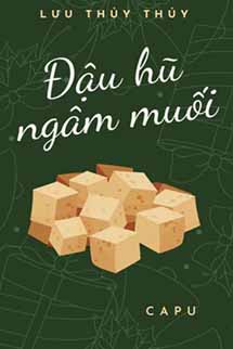 Đậu Hũ Ngâm Muối - Lưu Thủy Thủy