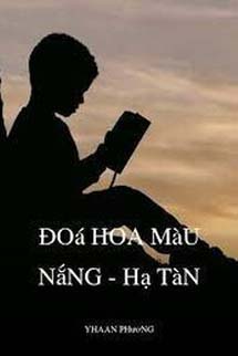 Đoá Hoa Màu Nắng - Hạ Tàn