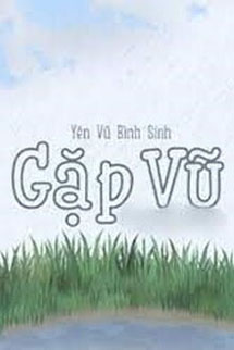 Gặp Vũ