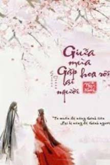 Giữa Mùa Hoa Rơi Gặp Lại Người