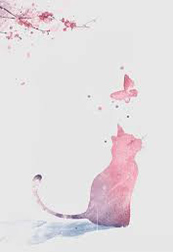 Mảnh Vá Tình Yêu Tuổi Trung Niên