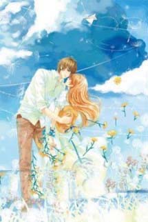 Mơ Xanh Ngâm Đường