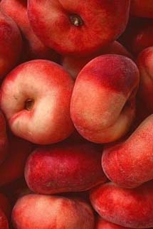 Nhuyễn Hương Nhập Hoài - Tại Cật Kê Bài