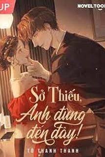 Sở Thiếu, Anh Đừng Đến Đây!