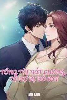 Tổng Tài Bất Lương, Cô Vợ Bị Bỏ Rơi