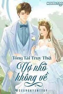 Tổng Tài Truy Thê: Vợ Nhỏ Không Về