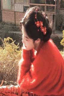 Trong Mưa, Tôi Mất Tất Cả