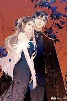 Truyền Nhân Thiên Y