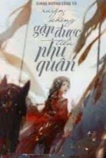 Xuyên Không Gặp Được Tiểu Phu Quân!